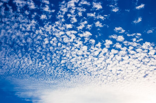 Photo ciel bleu et des morceaux de nuages blancs moelleux en arrière-plan