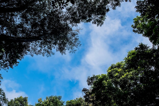 ciel bleu avec nuage, cadre nature et arrière-plan