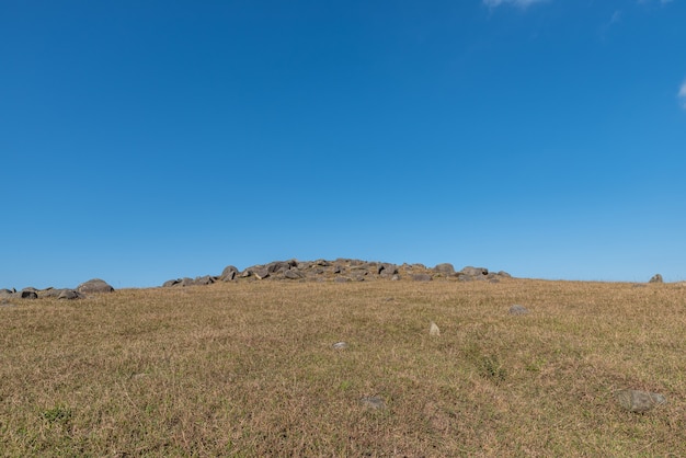 Ciel bleu et nuages blancs, prairie flétrie et jaune