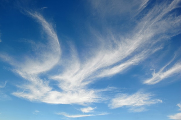 Ciel bleu avec des nuages blancs