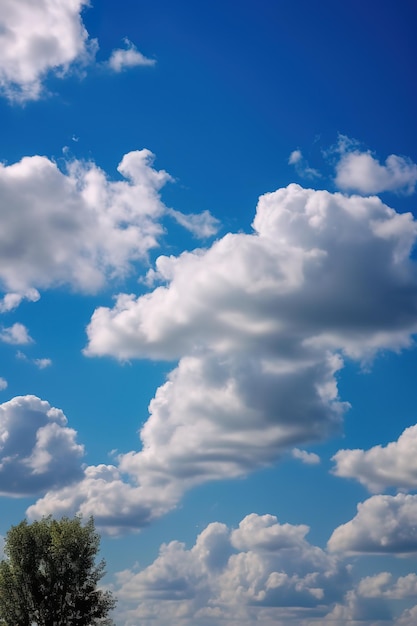 Un ciel bleu avec des nuages blancs