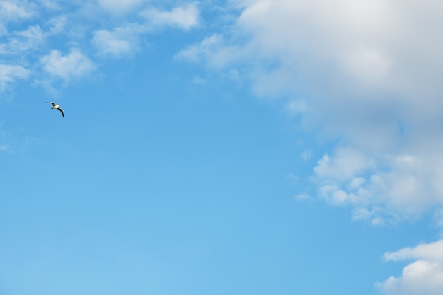 Ciel bleu avec des nuages. Fond de ciel