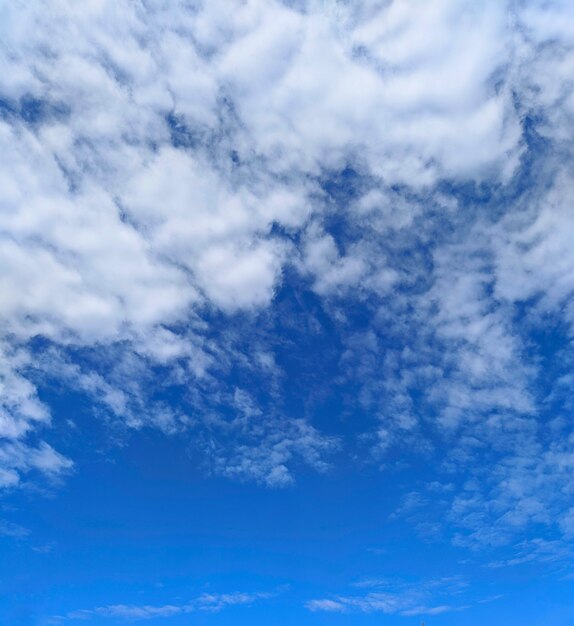 Ciel bleu avec des nuages le matin
