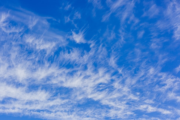 Ciel bleu avec des nuages de plumes blanches, fonds d'écran