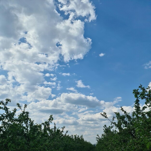 Un ciel bleu avec des nuages et quelques nuages