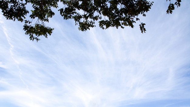 ciel bleu avec des nuages.