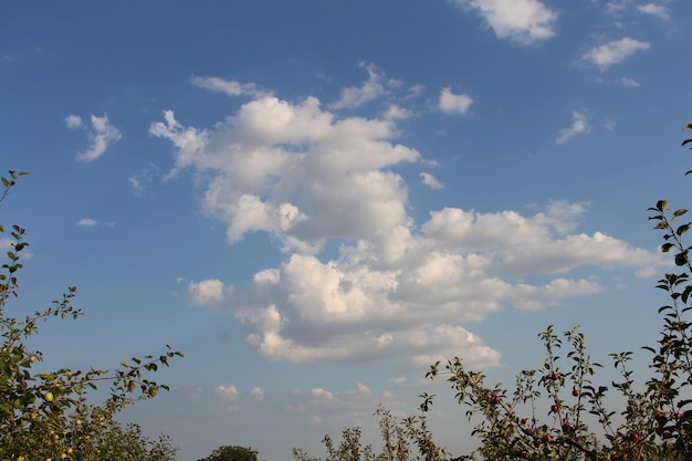 Un ciel bleu avec des nuages