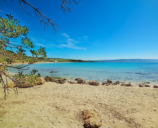 Ciel bleu sur la plage de Le Bombarde Sardaigne