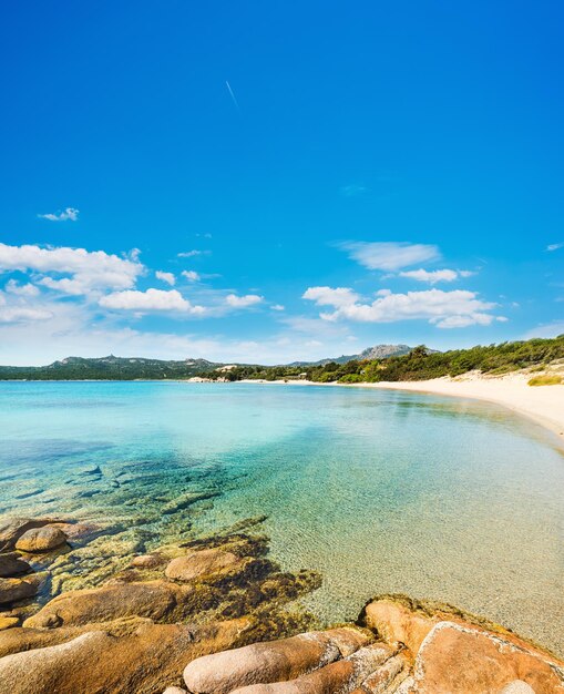 Ciel bleu sur la plage de La Celvia Sardaigne