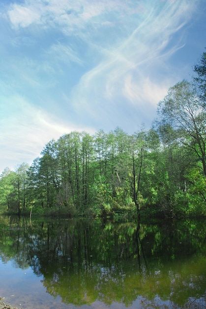 Ciel bleu et rivière avec reflet d'arbres