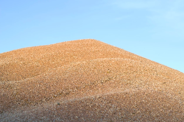 ciel bleu et tas de grain de blé après la récolte