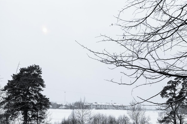 Ciel couvert gris sur les champs de neige en hiver