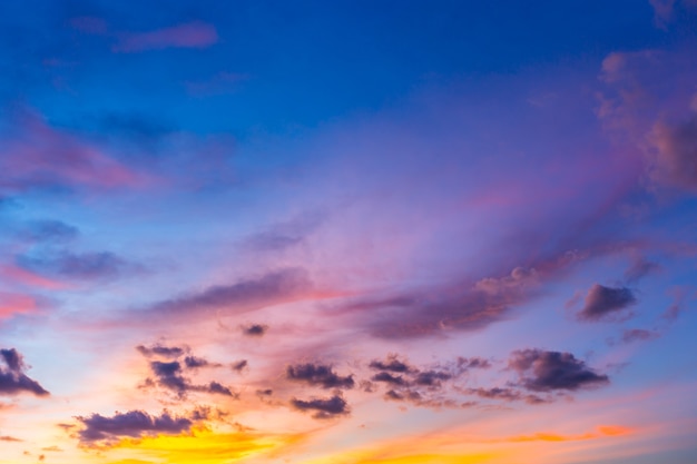 ciel crépusculaire au parc