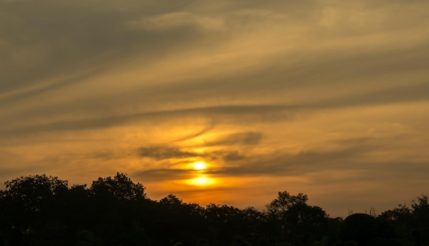 Ciel crépusculaire doré avec silhouette au premier plan