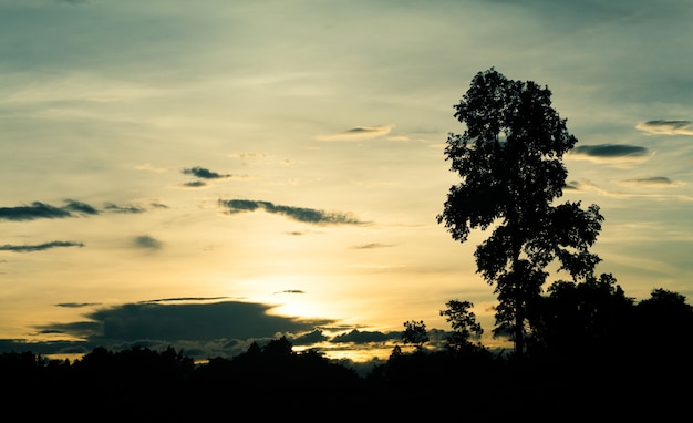 Ciel crépusculaire et nuage pluvieux avec un arbre. Niveau de bruit élevé. Ciel de nuit avec des nuages.