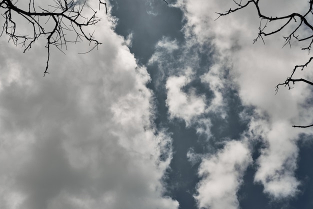 Photo ciel dans les nuages