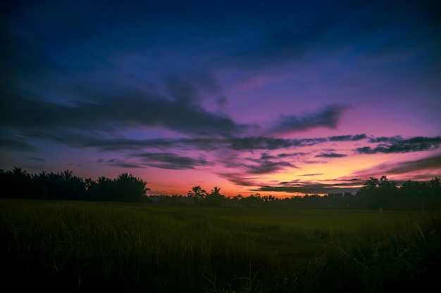 Ciel du soir coloré sur terrain en herbe