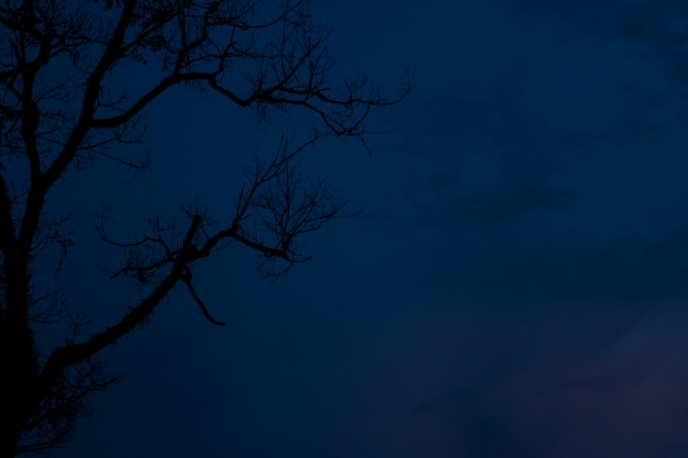 Ciel du soir et une lumière dorée