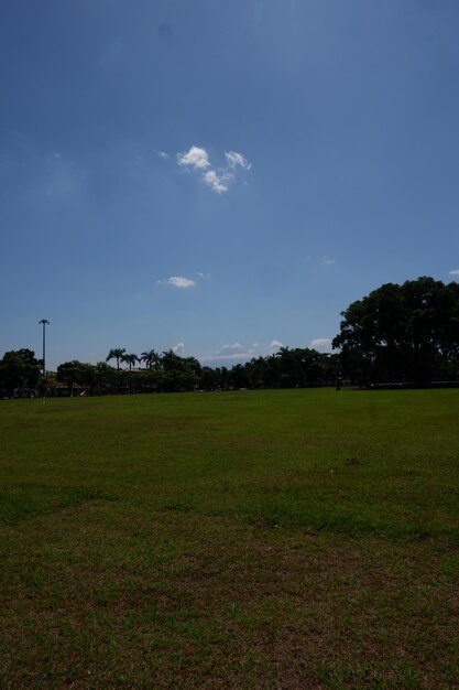 Photo le ciel est bleu et l'herbe est bleue