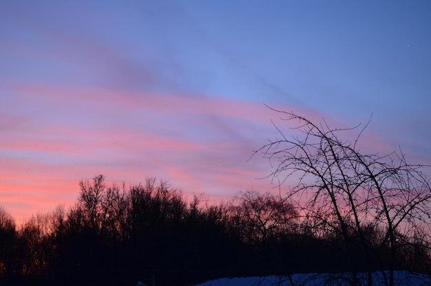 Le ciel est de couleur rose et bleu.