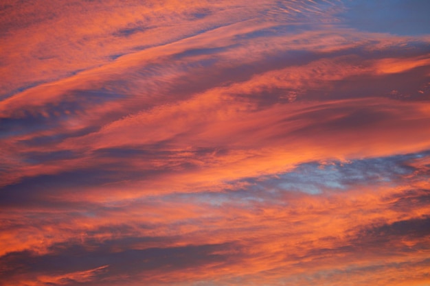 Photo le ciel est rouge sang.