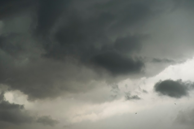 Le ciel était rempli de nuages noirs flottant dans le ciel.