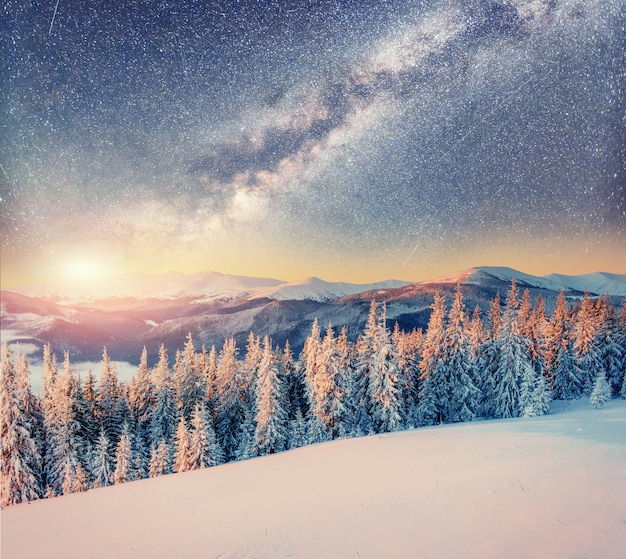 Ciel étoilé dans la nuit d'hiver neigeux. Carpates, Ukraine, Europe