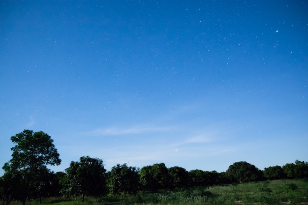 Ciel et étoiles Gardez la nuit