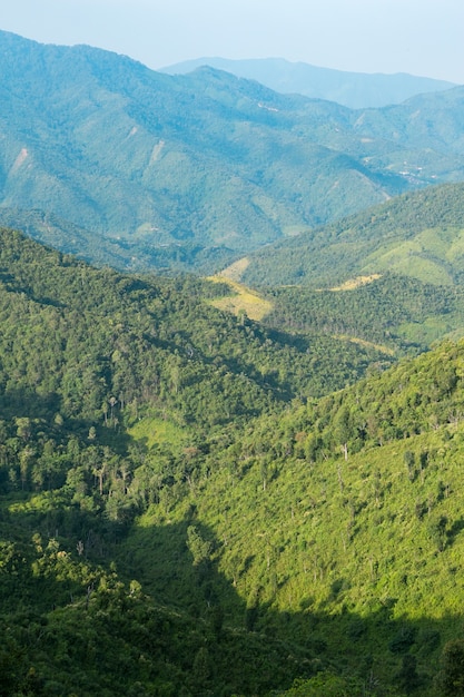 Ciel, forêt et montagnes