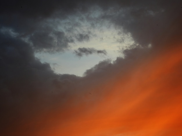 Ciel gris et orange avec des oiseaux