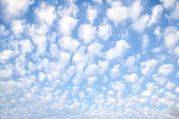 Ciel avec une multitude de petits nuages blancs, peut être utilisé comme arrière-plan. Paysage nuageux