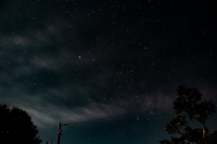 Photo un ciel nocturne étoilé avec quelques arbres et un poteau téléphonique au premier plan.