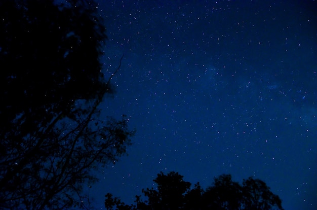 Ciel nocturne avec étoile.