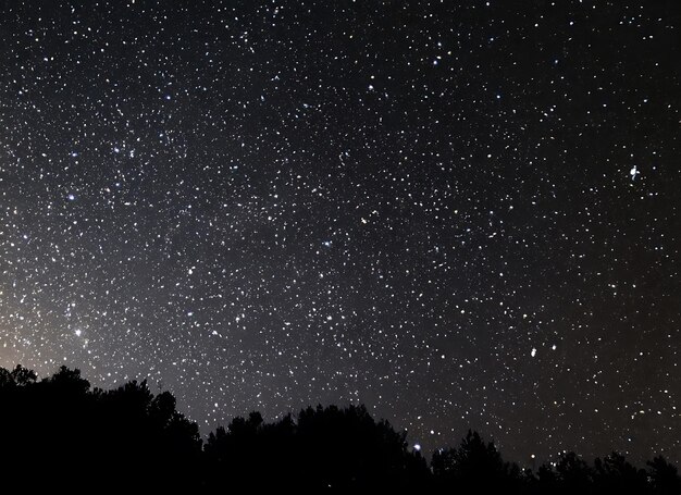 Le ciel nocturne avec des étoiles scintillantes sur un fond noir