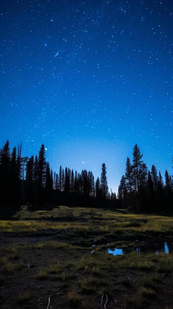 Photo un ciel nocturne avec quelques arbres et un ciel étoilé