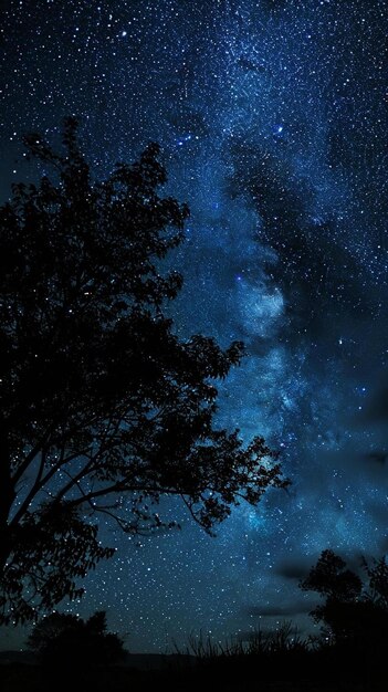 un ciel nocturne rempli d'étoiles et d'un arbre