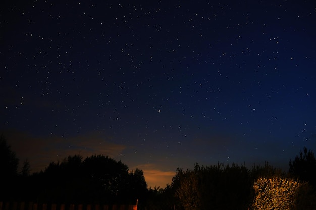 Ciel nocturne Étoiles et galaxies dans le ciel au crépuscule