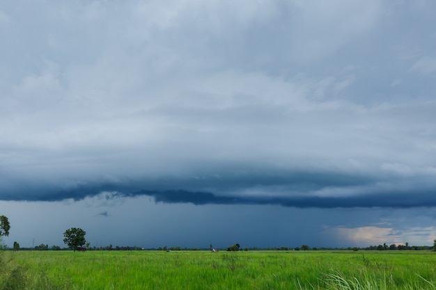 Ciel et nuages avec le nuage orageux de la pluie sur le champ de riz vert.