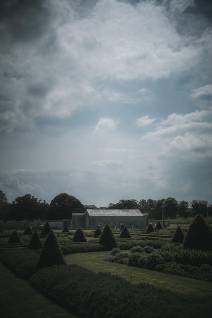 Ciel nuageux sur le champ agricole rural vert