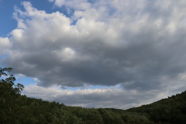 ciel nuageux sur les collines verdoyantes des nuages duveteux en été