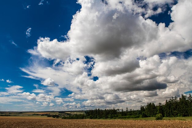 Le ciel nuageux d'été