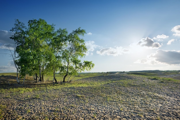 Ciel nuageux et soleil sur le désert de sable