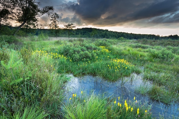 Photo ciel orageux sur la lande et la rivière