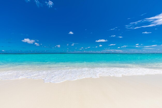 Ciel de sable de mer Vagues calmes et relaxantes sur la plage tropicale Ambiance estivale horizon marin avec des nuances de bleu