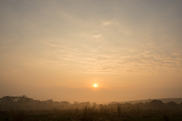 Ciel et soleil le matin