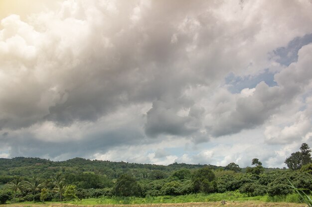 Ciel sombre et sombre.