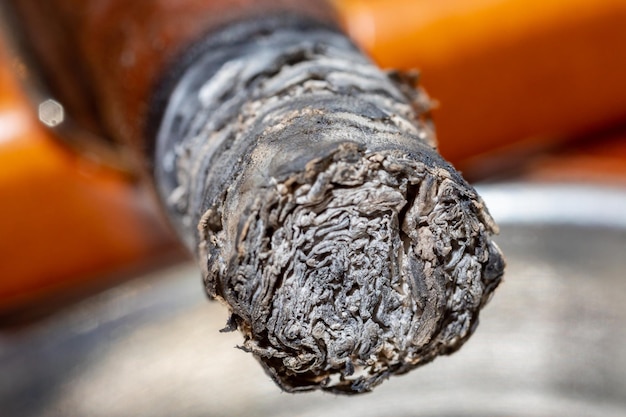 Cigare cubain traditionnel avec détail macro de frêne