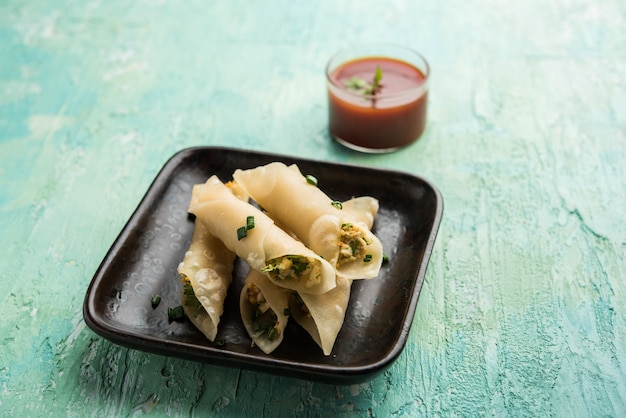 Les cigares au piment Paneer sont des rouleaux croustillants farcis de paneer, une entrée intéressante pour toute fête. servi avec du ketchup aux tomates. mise au point sélective