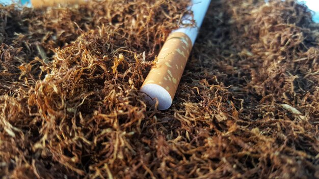 Photo une cigarette sur un tabac