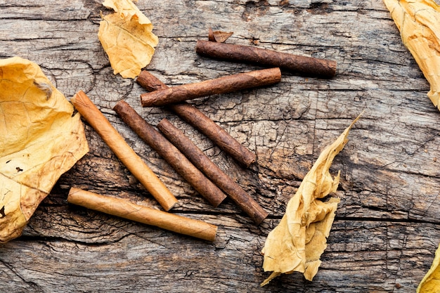 Cigarillos et feuille de tabac sec sur fond de bois